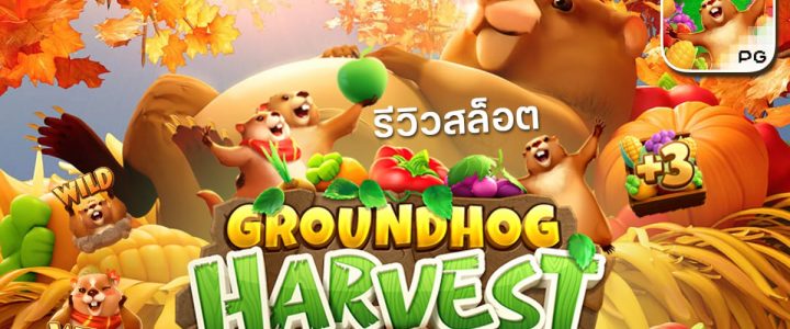 Groundhog Harvest เกมสล็อตน่าเล่น แตกง่าย